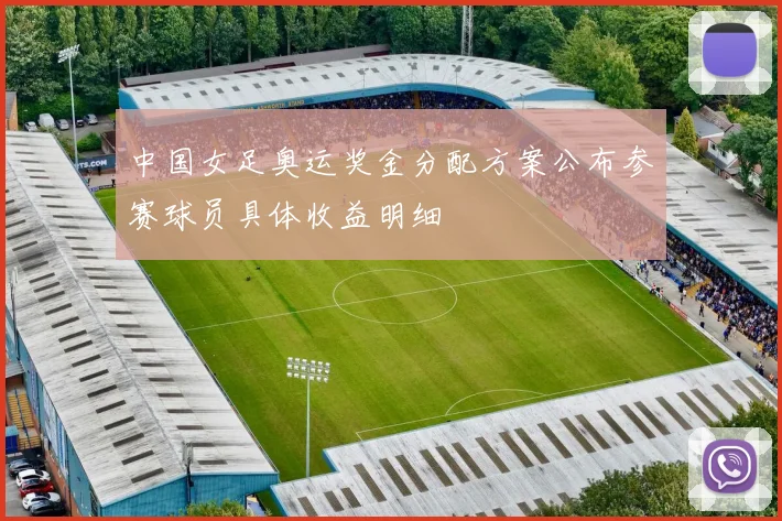 中国女足奥运奖金分配方案公布参赛球员具体收益明细