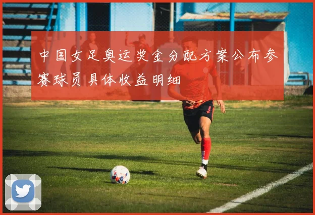 中国女足奥运奖金分配方案公布参赛球员具体收益明细