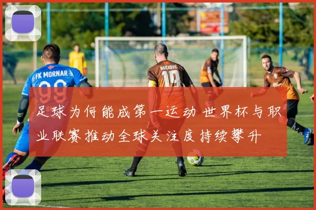 足球为何能成第一运动 世界杯与职业联赛推动全球关注度持续攀升